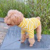 Pack of 2 Cute Doggie Embroidery Dog Coat Turtleneck Stretchy