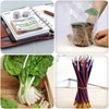 Selizo 1000Pcs Elastic Bands Small Rubber Bands Assorted for Office