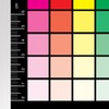 The CMYK Greyscale Card for Designers and Reprographics