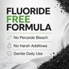 Bamboo Charcoal Whitening Tooth Powder with Hydroxyapatite, Stain Removal &