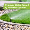Velocity Exterior Rust Stain Remover | Rust Stain Remover for