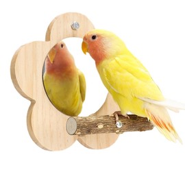 Parrot Perch Stand with Mirror & Chew Toys Natural Wood Bird Play Gym for Cockatiels, Conures, Parakeets, Lovebirds Cage Climbing Ladder Beak Grinding Activity Center