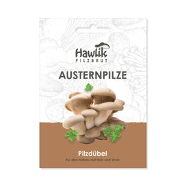 Hawlik Pilzbrut I the Original I Oyster Mushrooms as Dowel Bread to Grow Yourself - Easy to Harvest Fresh Mushrooms - 20 Mushroom Dowels for Growing on Wood and Straw