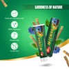 Dabur Miswak Blackseed Toothpaste - 100gm, Herbal Toothpaste with Pure