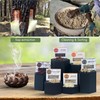Resin Incense - Natural Tree Gum Sap - 6x30g Variety