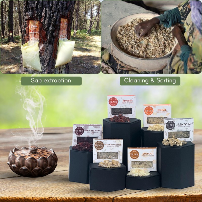 Resin Incense - Natural Tree Gum Sap - 6x30g Variety