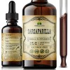 HERBALICIOUS Sarsaparilla Root Extract Support for Immunity Skin Kidney Function