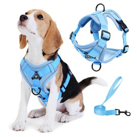 Jolifield No Pull Dog Harness with Leash Set for Small Sized Dog, Reflective Adjustable No Choke Front Clip Cat Vest Harness with Breathable Mesh, Comfortable Soft Padded Pet Vest, Blue L