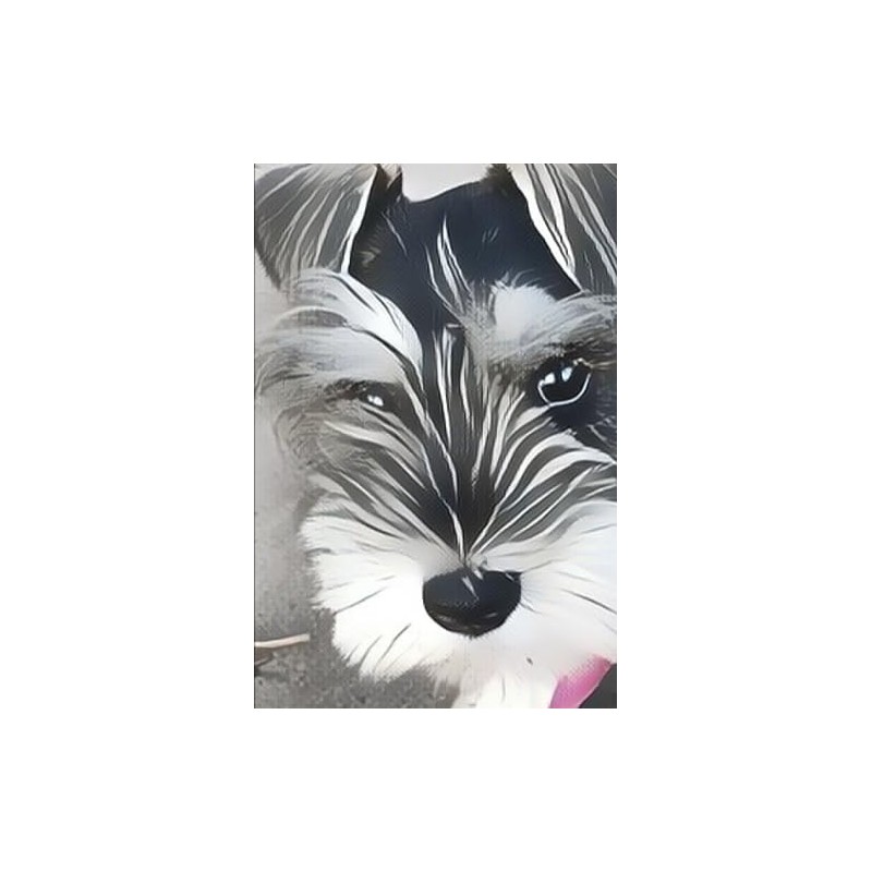 Miniature Schnauzer: Journal