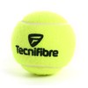 Tecnifibre Champion 3er Dose Tennisball, gelb, nosize