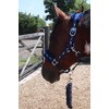 Equipride Horse Print Faux Lined Nylon Headcollars with Matching Lead