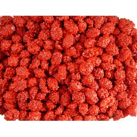 Sconza French Burnt Peanuts (2 Pound)