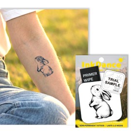 Semi-Permanent Tattoo, Tiny Cute Bunny, Rabbit, Y2k, Long Lasting Temporary Tattoos, Waterproof Plant-Based Ink, Lasts 1-2 Weeks, Color Develops in 24 Hours MNF191