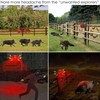 QXMH Outdoor Solar Motion Sensor - Motion Sensor Alarm, Dog