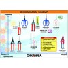 CHIKAMASA B-600SLUFB, The Precise Specialty Trimming Scissors, S/S L-Shape Blade,