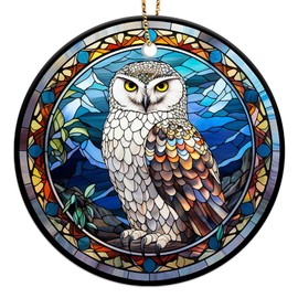 365RUSTIC Memorial Ornament for Christmas Tree, Sympathy Gifts for Loved Ones, 2-Side Printed Ceramic Ornament 2024, Wise Owl Ornament, Owl Christmas Decor