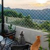 JOAASU Cat Net for Balcony, 10 x 3 m Cat