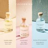 COCORRÍNA Eucalyptus Reed Diffuser Set of 3 - Eucalyptus &