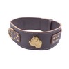 Unique Cane Corso GOLD Heavy Duty 2.5 inch Wide Leather