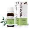 Pranarom - Cajeput ätherisches Öl - 10 ml