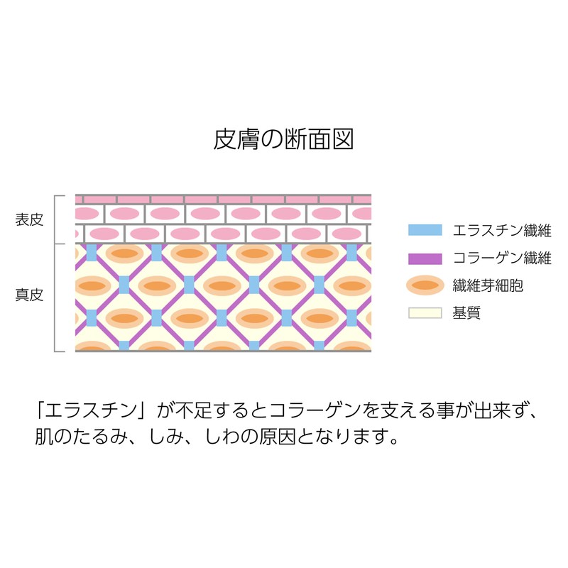 エラスチン サプリメント エラスチン華　90粒