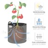 com-four® 5x 20 L plant sack for potatoes - Tomato