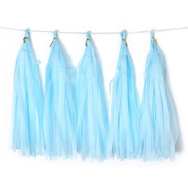 Binpeng 9.8in Tissue Paper Tassel DIY Hanging paper decorations Party Garland Decor for Party Decorations Wedding,Festival,Baby Shower Decoration 20PCS (sky blue 25cm)