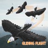 Bird Plane Toy 2 Channels Broken Resistant Remote Control Bird