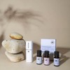 Perfect Potion Essential Oil Blend KIT Mindfulness