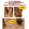 Petio Loofah Leather Dental Toy for Cats, Orange