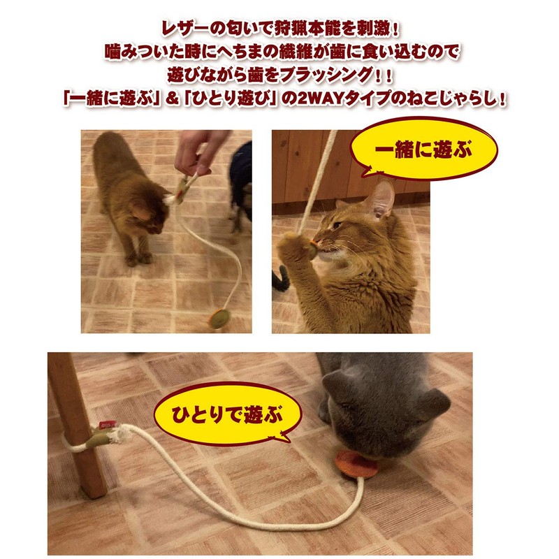 Petio Loofah Leather Dental Toy for Cats, Orange
