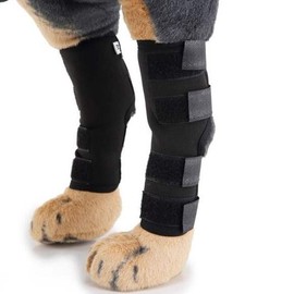 JQ Darum Dog Patella Joint Protector M 2p 1set / Dog / 다름 반려견 슬개골 관절보호대 M 2p 1set / 강아지