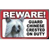 SCANDICAL BEWARE GUARD CHINESE CRESTED DOG ON DUTY 5" X