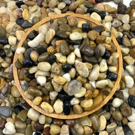 FANTIAN 20 lbs Pea Gravel Pebbles for Indoor Plants, 2/5 Inch Mixed Color River Rocks for Aquarium, Succulent, Vase, Bonsai, Garden, Plant Soil Cover and Outdoor Landscaping Rocks