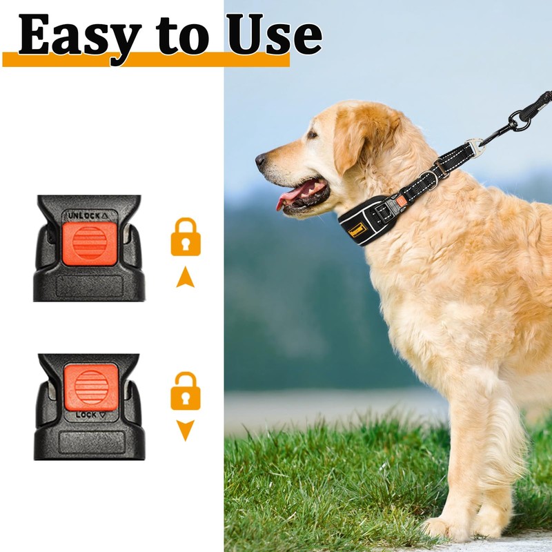Mayerzon Martingale Dog Collar No Pull for Large Medium Dogs,