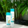 Mirta de Perales Hair Shampoo with Argan, coconut & Moringa