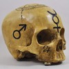 Skull Witchcraft Skull Decorative Figurine