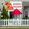 Vinyl Banner Multiple Sizes Georgia Peaches Restaurant Cafe Bar A
