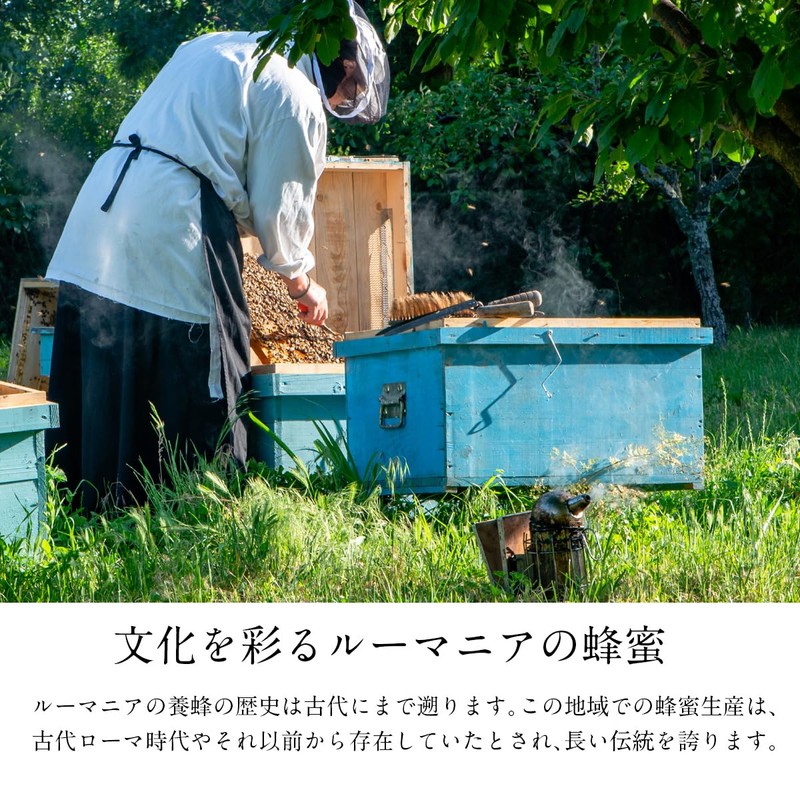 正栄 ルーマニア産 純粋はちみつ(ポリ) 500g