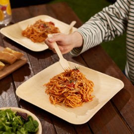 HAAGO 20 Pack Palm Leaf Plates 10 Inch (Square) Like Disposable Bamboo Plates | Disposable Tableware for Party, Picnic, Outdoor | Biodegradable & Microwave Safe