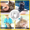 Cat Muzzle for Grooming, Transparent Cat Mouth Muzzle for Nail