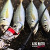 VARIVAS (バリバス) Line Ajing Master Ester Red Eye 0.25