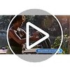 BOGI - Paquete de 4 Toallas Deportivas de Microfibra de