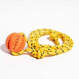 Runball Dog Rope Toy with Ball for Tug of War, Training, Fetch, Interactive Pull Toy, Teeth Cleaning Ball for Medium and Large Dogs, 10 Foot Rope and 2.75 Inch Ball