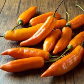 Sunshine Seeds Peruvian Aji Orange Pepper seeds (15) / ORGANIC / FLORIDA GROWN / RARE