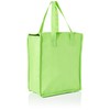 eBuyGB Non Woven Multi Purpose Thermal Insulated Shopping Grocery Cooler