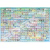 ENSKY Pokémon Galar Pokédex No. 001~No. 400, 20.1 x 29.9