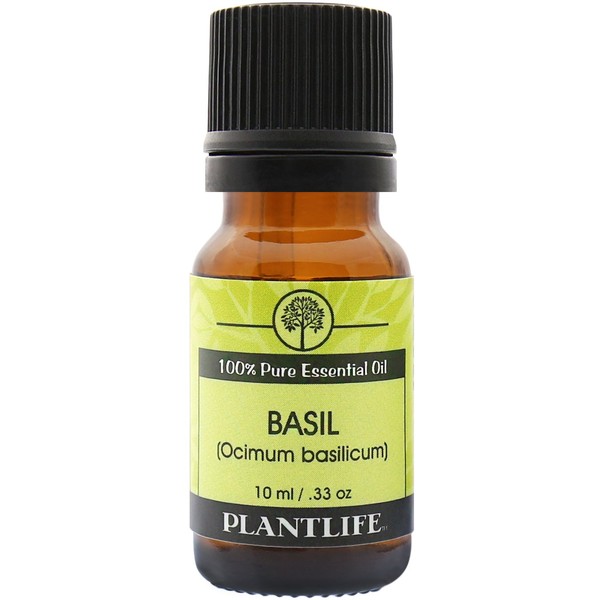 Basil 100% Pure Essential Oil - 10 ml