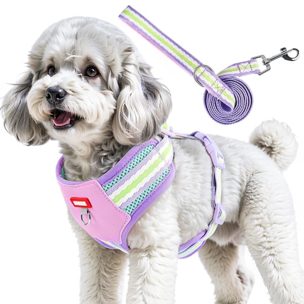 2Pcs Dog Harness Set, Comfortable No Pull Dog Harness, Adjustable