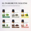 Kaisasa Kit De 12 Aceites Esenciales Aromaterapia Natural Estilo B